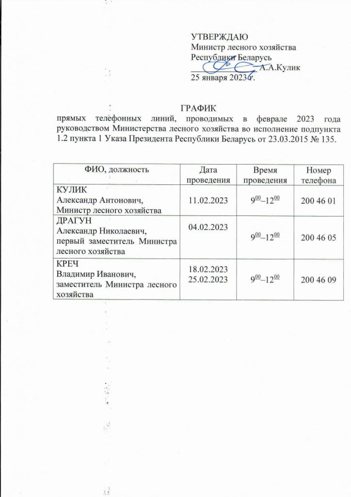прямые линии февраль